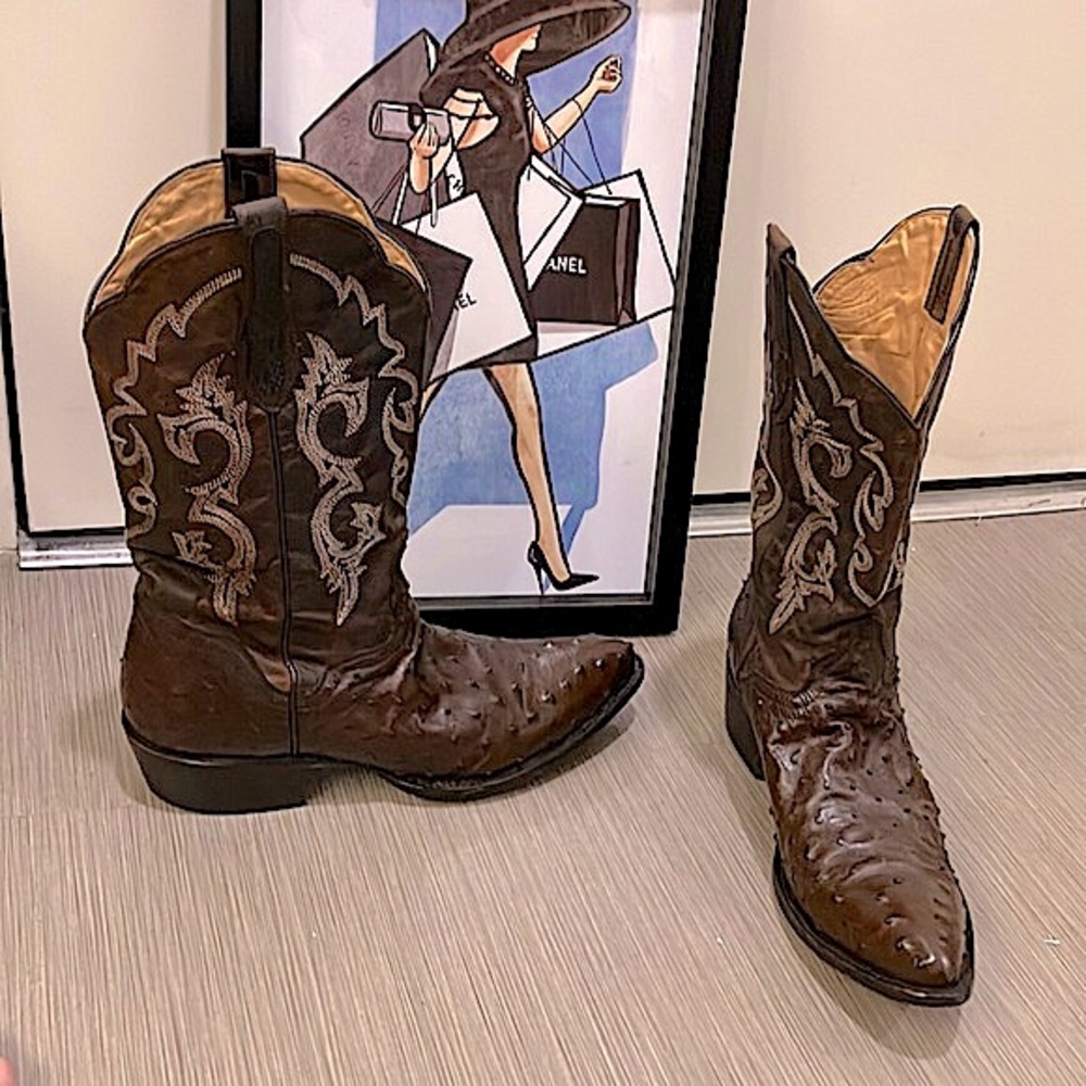 J.B. Dillon ostrich western cowboy boots chocolate brown color Size 11.5 D width - Picture 1 of 12